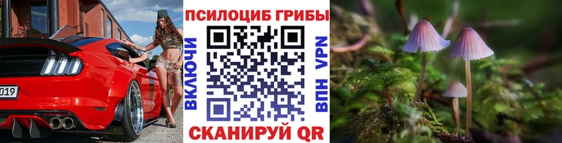 Галлюциногенные грибы мухоморы  Купить где  Нелидово 